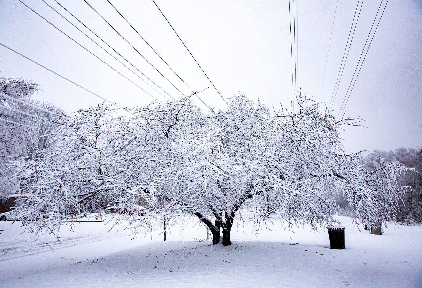 snow day